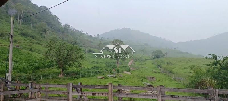 Fazenda à venda com 4 quartos, 350m² - Foto 44
