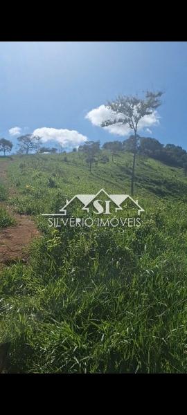 Fazenda à venda com 4 quartos, 350m² - Foto 45
