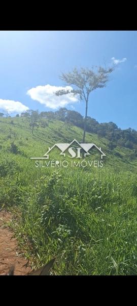 Fazenda à venda com 4 quartos, 350m² - Foto 46