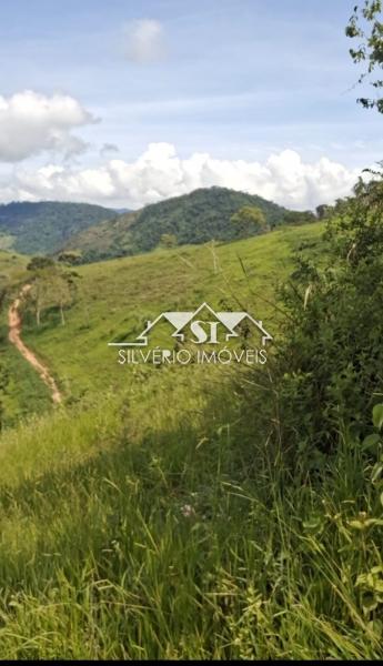 Fazenda à venda com 4 quartos, 350m² - Foto 47
