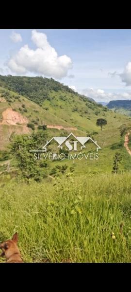 Fazenda à venda com 4 quartos, 350m² - Foto 48