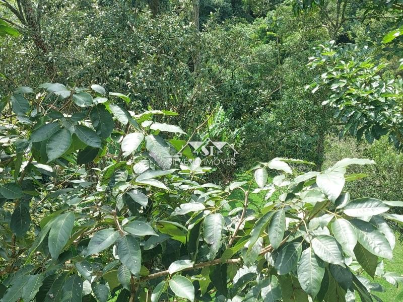 Casa à venda em Samambaia, Petrópolis - RJ - Foto 3