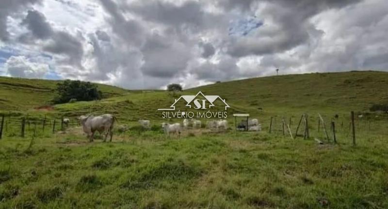 Fazenda à venda com 2 quartos, 430m² - Foto 6