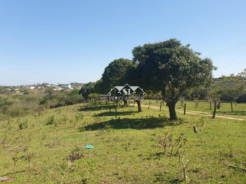 Sítio à venda com 2 quartos, 150m² - Foto 10