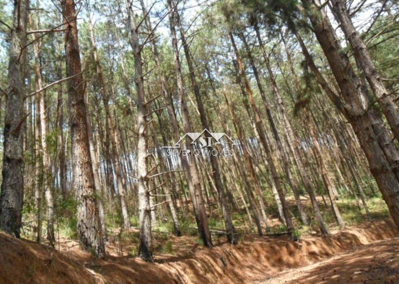 Terreno em Araras - Petrópolis/RJ 