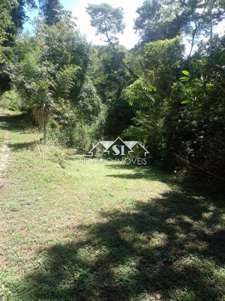 Sítio à venda com 5 quartos, 1m² - Foto 8
