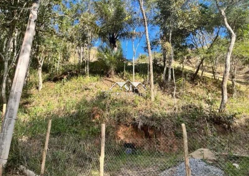 Terreno Residencial à venda em Bonsucesso, Petrópolis - RJ - Foto 3