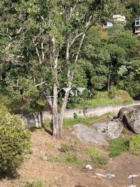 Terreno Residencial à venda em Corrêas, Petrópolis - RJ - Foto 9