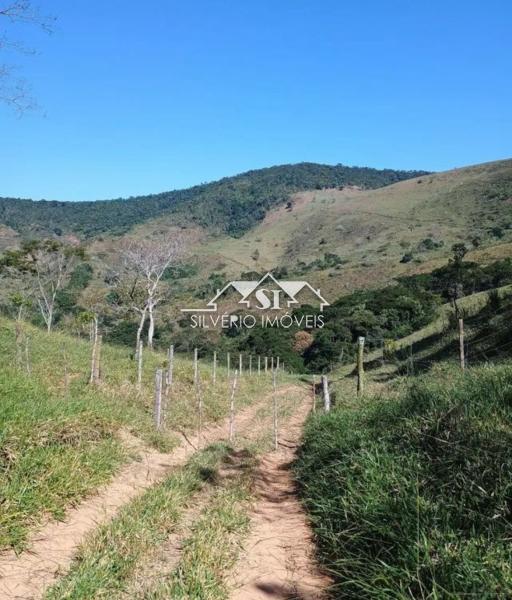 Fazenda / Sítio à venda em Inconfidência 3º Distrito, Paraíba do Sul - RJ - Foto 4