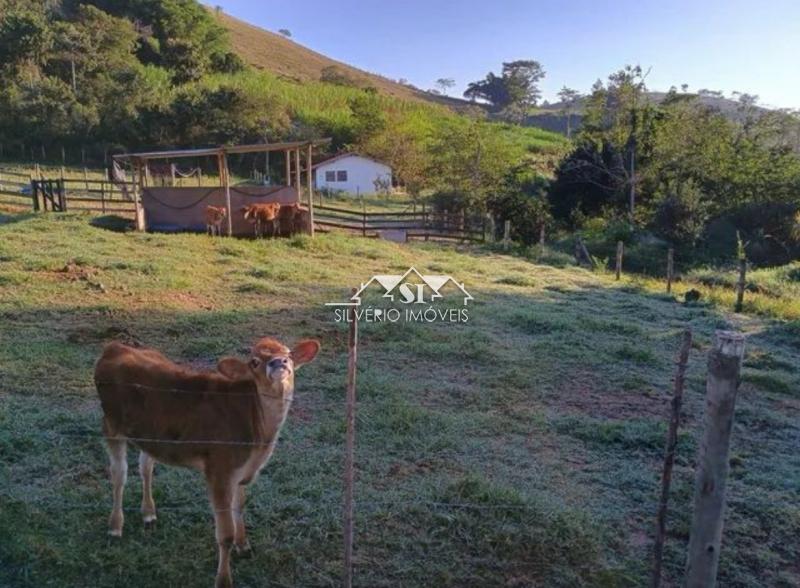 Fazenda / Sítio à venda em Inconfidência 3º Distrito, Paraíba do Sul - RJ - Foto 5