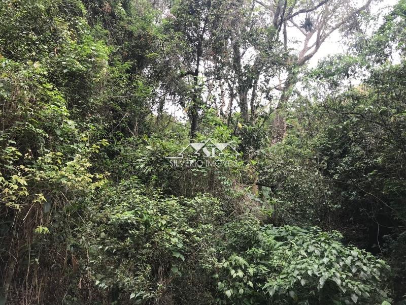 Terreno Residencial à venda em Corrêas, Petrópolis - RJ - Foto 26