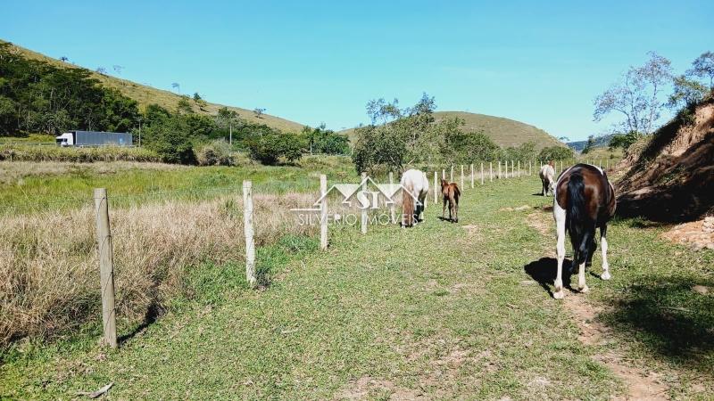 Fazenda à venda com 5 quartos, 1004m² - Foto 5