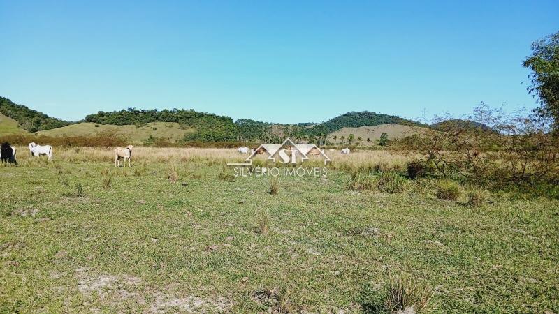 Fazenda à venda com 5 quartos, 1004m² - Foto 7