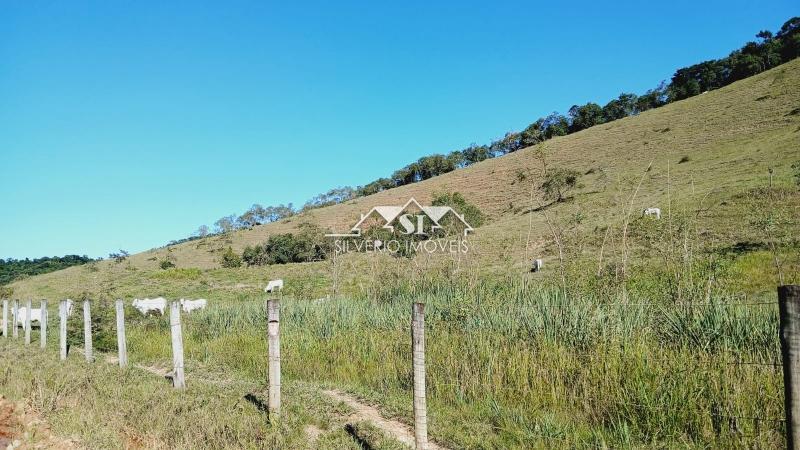 Fazenda à venda com 5 quartos, 1004m² - Foto 8