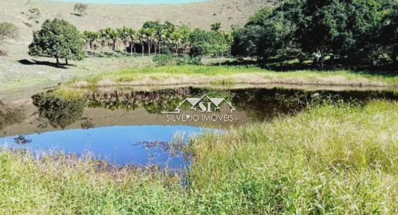 Fazenda à venda com 5 quartos, 1004m² - Foto 9