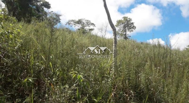 Terreno Residencial à venda em São Pedro, Areal - RJ - Foto 7