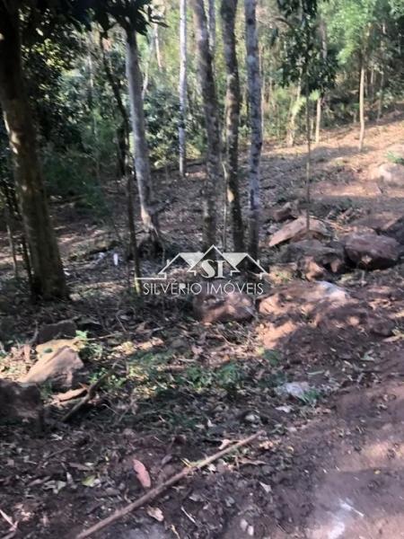 Terreno Residencial à venda em Santa Mônica, Petrópolis - RJ - Foto 3