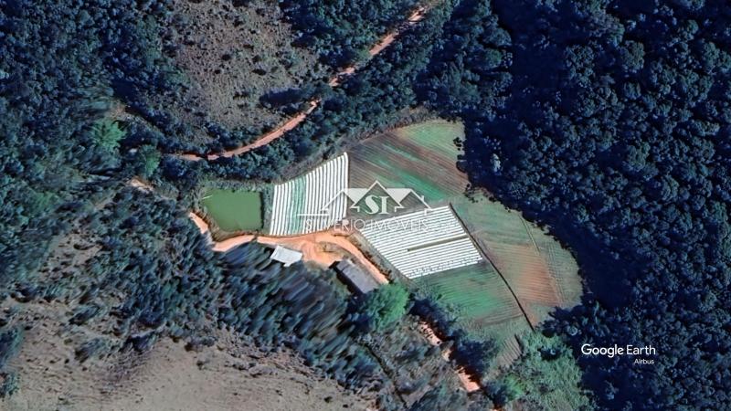Fazenda / Sítio à venda em Centro, Teresópolis - RJ - Foto 3