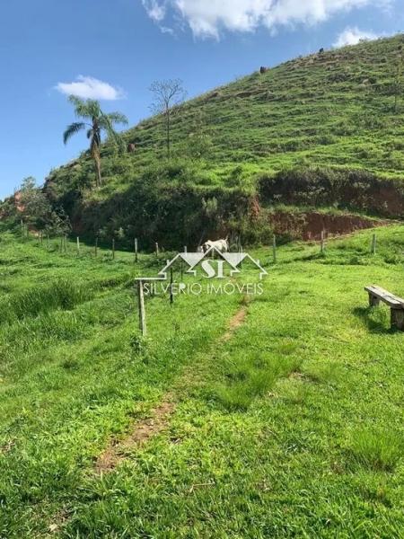 Fazenda à venda com 3 quartos, 250m² - Foto 4