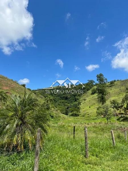 Fazenda à venda com 3 quartos, 250m² - Foto 5