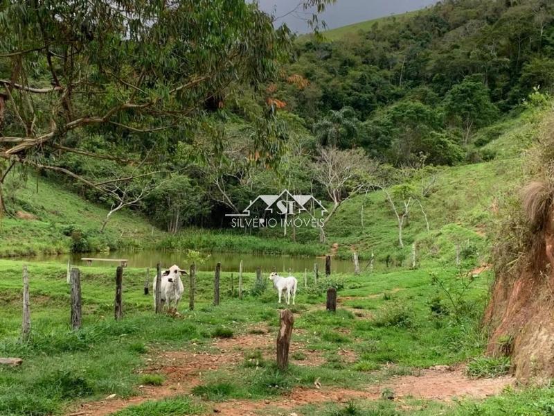 Fazenda à venda com 3 quartos, 250m² - Foto 16
