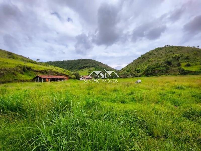 Fazenda à venda com 3 quartos, 250m² - Foto 17