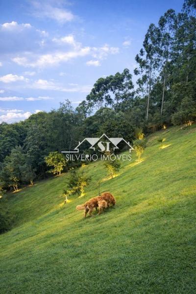 Casa para Alugar  à venda em Samambaia, Petrópolis - RJ - Foto 26