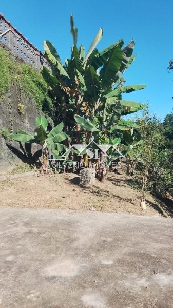 Casa à venda em Independência, Petrópolis - RJ - Foto 9
