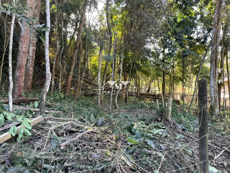 Terreno à venda, 1000m² - Foto 8