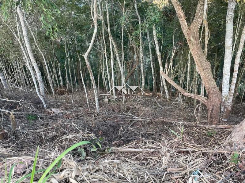 Terreno Residencial à venda em Itaipava, Petrópolis - RJ - Foto 2