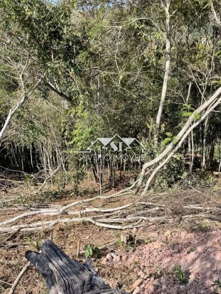 Terreno Residencial à venda em Itaipava, Petrópolis - RJ - Foto 3