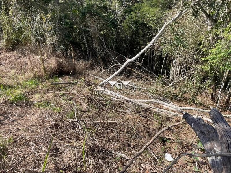 Terreno Residencial à venda em Itaipava, Petrópolis - RJ - Foto 4