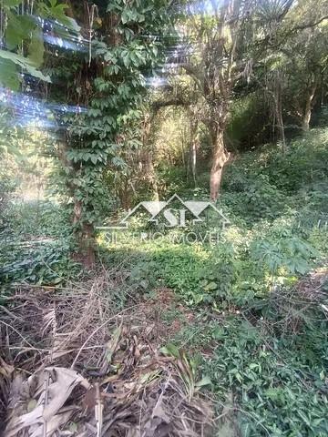 Terreno Residencial à venda em Nogueira, Petrópolis - RJ - Foto 6