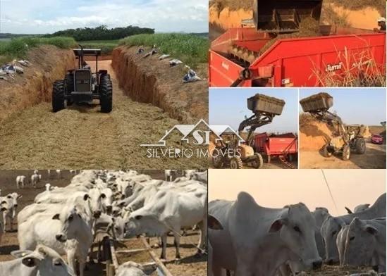Fazenda à venda com 2 quartos, 250m² - Foto 18