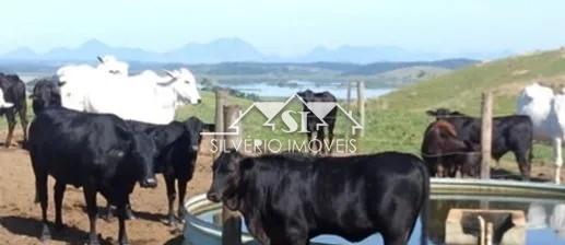 Fazenda à venda com 2 quartos, 250m² - Foto 8