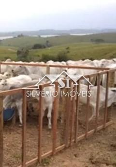 Fazenda à venda com 2 quartos, 250m² - Foto 12