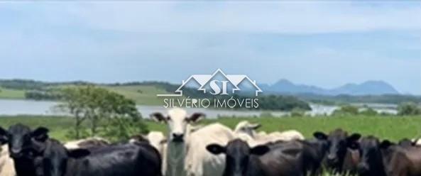 Fazenda à venda com 2 quartos, 250m² - Foto 14
