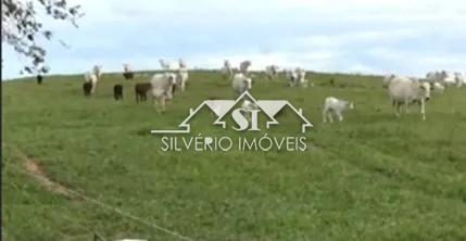 Fazenda à venda com 2 quartos, 250m² - Foto 15