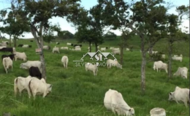 Fazenda à venda com 2 quartos, 250m² - Foto 16
