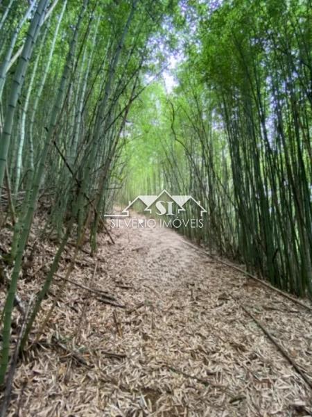 Terreno Residencial à venda em Corrêas, Petrópolis - RJ - Foto 2