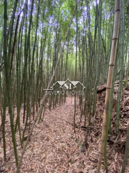 Terreno Residencial à venda em Corrêas, Petrópolis - RJ - Foto 3