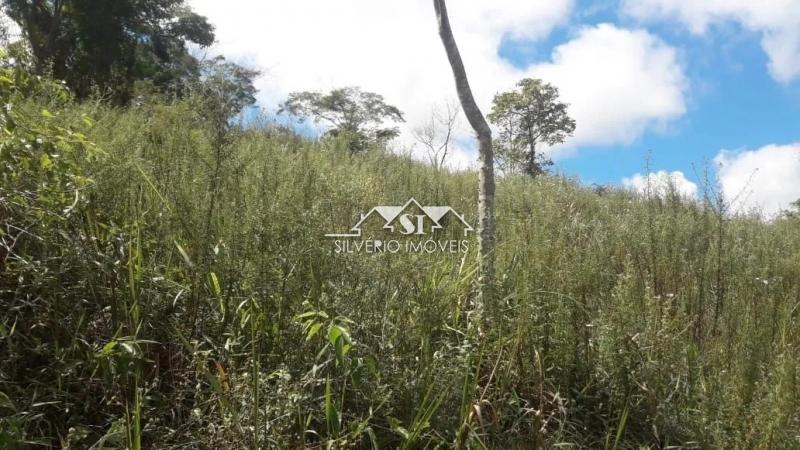 Terreno Residencial à venda em São Pedro, Areal - RJ - Foto 2