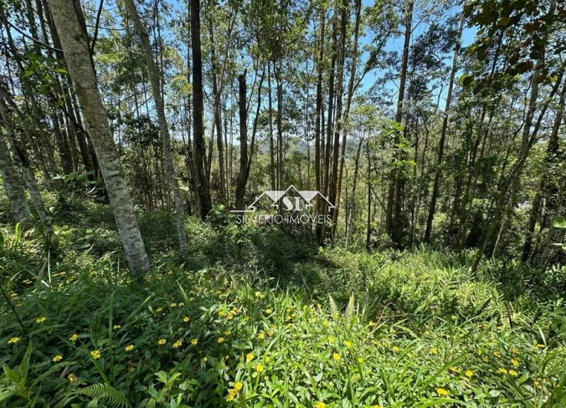 Terreno à venda, 2300m² - Foto 2