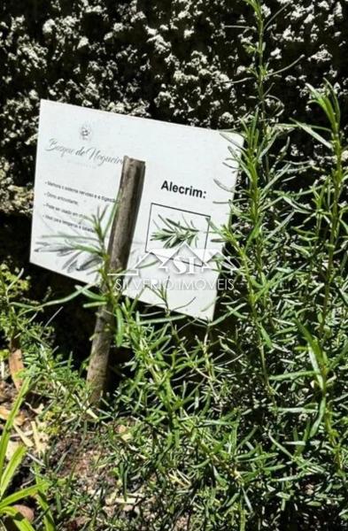 Apartamento à venda em Nogueira, Petrópolis - RJ - Foto 11