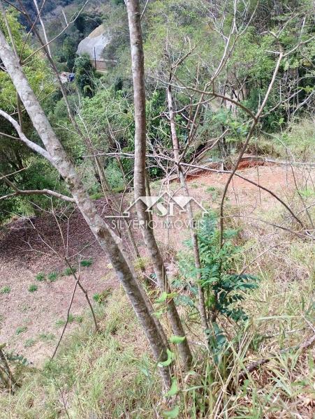 Terreno Residencial à venda em Itaipava, Petrópolis - RJ - Foto 3