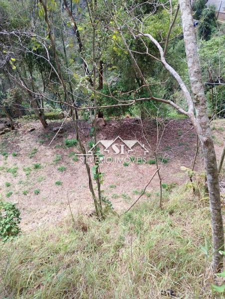 Terreno Residencial à venda em Itaipava, Petrópolis - RJ - Foto 4
