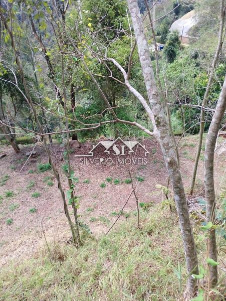 Terreno Residencial à venda em Itaipava, Petrópolis - RJ - Foto 8