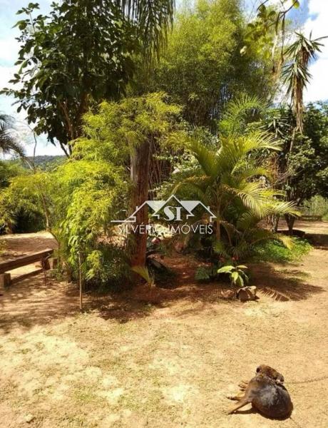 Sítio à venda com 2 quartos, 150m² - Foto 4