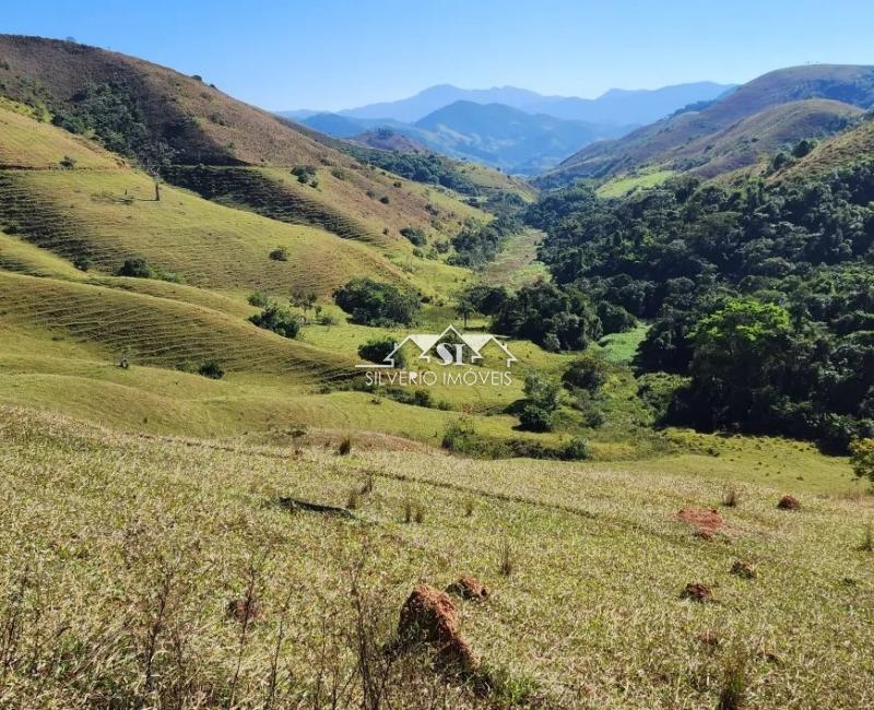 Fazenda à venda com 2 quartos, 250m² - Foto 3