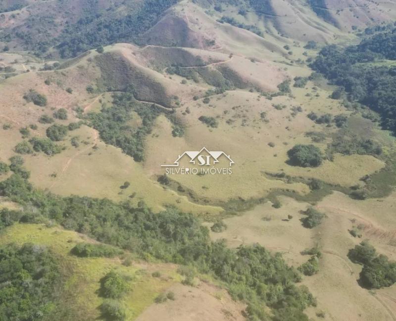 Fazenda à venda com 2 quartos, 250m² - Foto 4